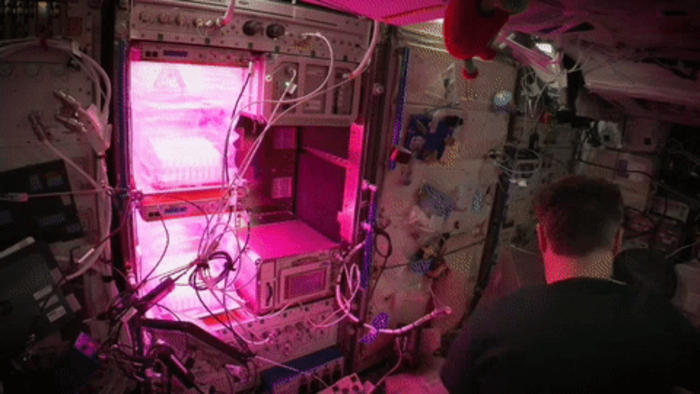 The Turbine SCM experiment