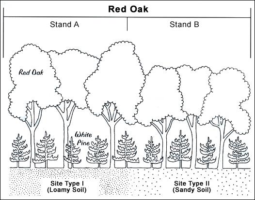 Atmospheric Chemistry Models