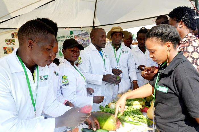 Empowering a continent: How youth and cooperatives are revolutionizing agriculture in East Africa