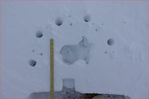 Measurements