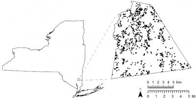 Locations of Groundwater Samples