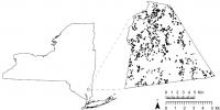 Locations of Groundwater Samples