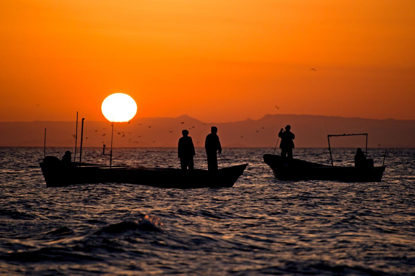 Gulf of California Fishing