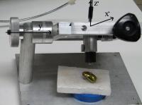 Beetle with Device