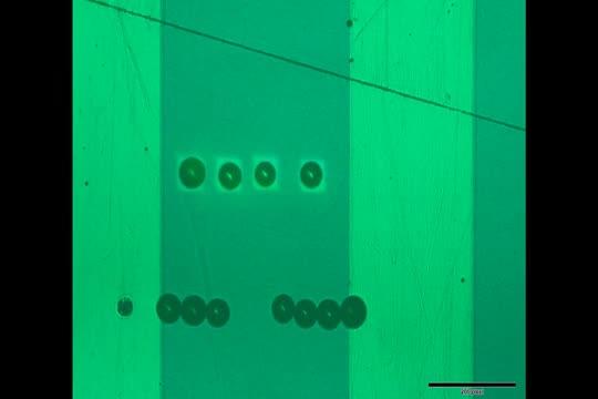 Optoelectronic Tweezer Microassembly