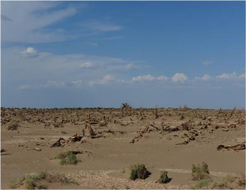 Groundwater Over-Exploitation