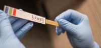 UTI Test Strip