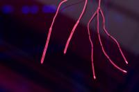 Prototype Electrodes