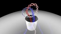 A Research Team from SISSA  Studied the Passage of Knotted DNA through Nanopores