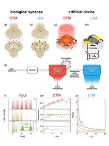 Bio-inspired heat-based logic in CuMnAs antiferromagnetic analog memory device