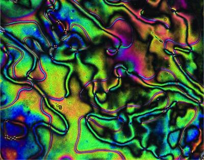 Liquid Crystal