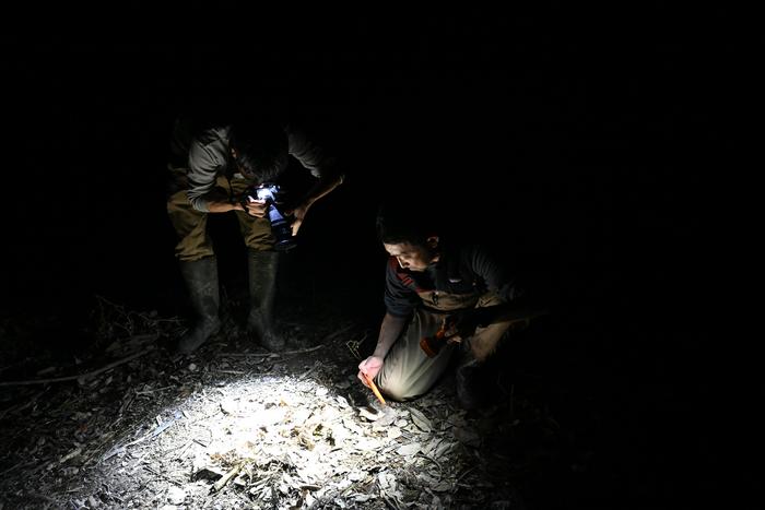 Night Survey in Akizuki