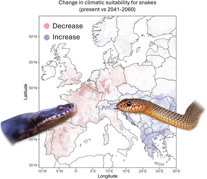 Graphical Abstract