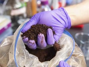 Minerals in lab