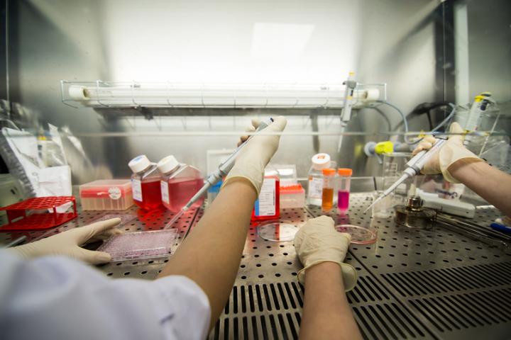 In the Laboratory