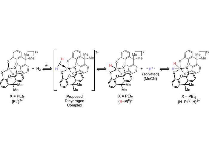 net oxidative addition reaction