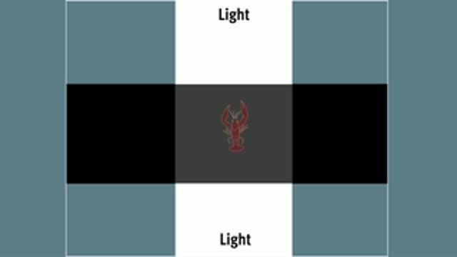 Anxious Crayfish Can Be Treated Like Humans (8 of 8)