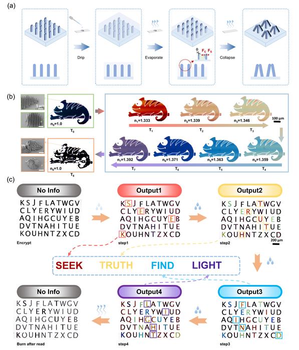 Figure 2 Time-programmable structural colors for optical information encryption.