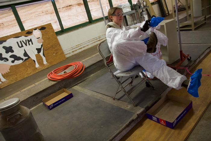Students learn about Biosecurity through a "Clean Escape" Game at the UVM Miller Dairy Farm.