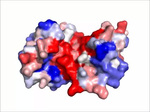 A Tale of Two Proteins Involved in the Neurodegeneration of Alzheimer's Disease (1 of 3)