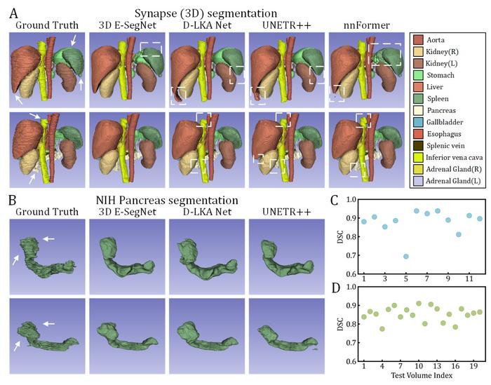 Figure 3. Performance on 3D medical image segmentation tasks