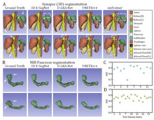 Figure 3. Performance on 3D medical image segmentation tasks
