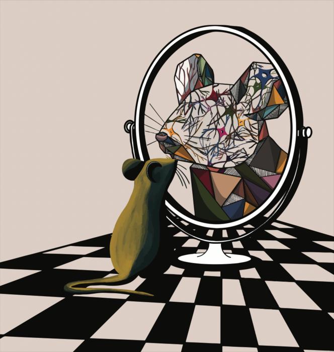 The mirror of the mind