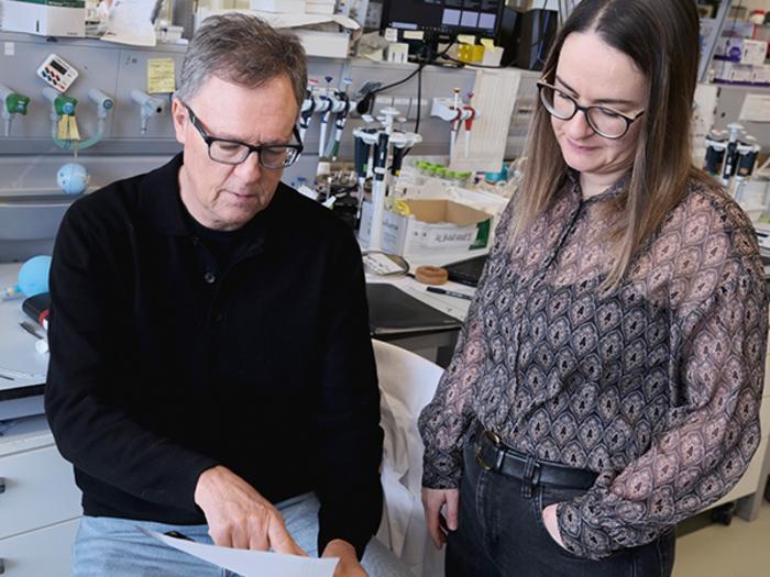 MEDiCS: CiQUS Researchers Lead European Innovation Council Project to Develop Novel Anticancer Agent