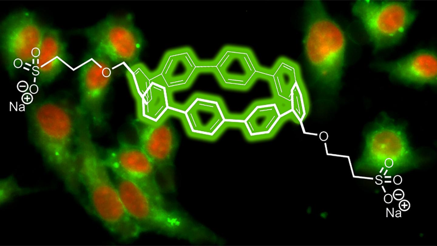 New Fluorescent Dye