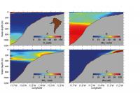 Distribution of Oxygen & Nitrogen in Seawater near Peru