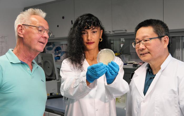 Research team aims to ‘fish’ heavy metals out of water