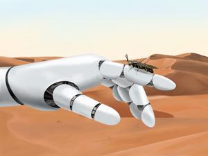 Robotics and black solider fly
