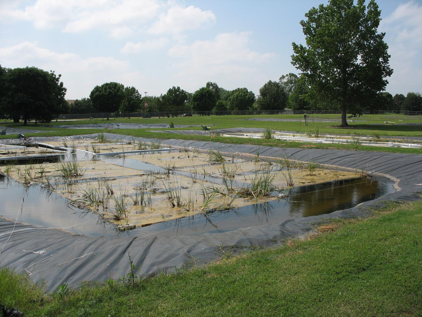 Installed Floating Wetland