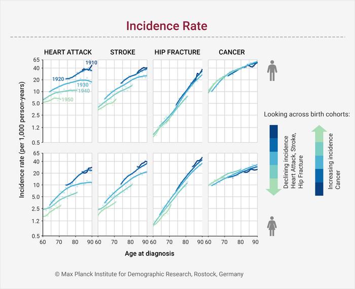 Age-specific incidence rates (logarithmic scale) of heart attack, stroke, hip fracture, and cancer
