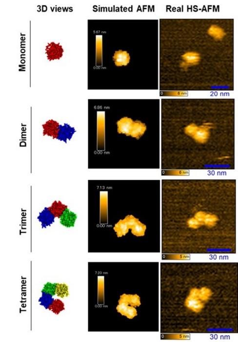Figure 2