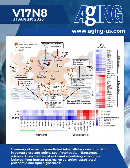 Exosomes released from senescent cells and circulatory exosomes isolated from human plasma reveal aging-associated proteomic and lipid signatures