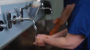 HPV vaccines prevent over 80% of cervical cancers, new Cochrane reviews find