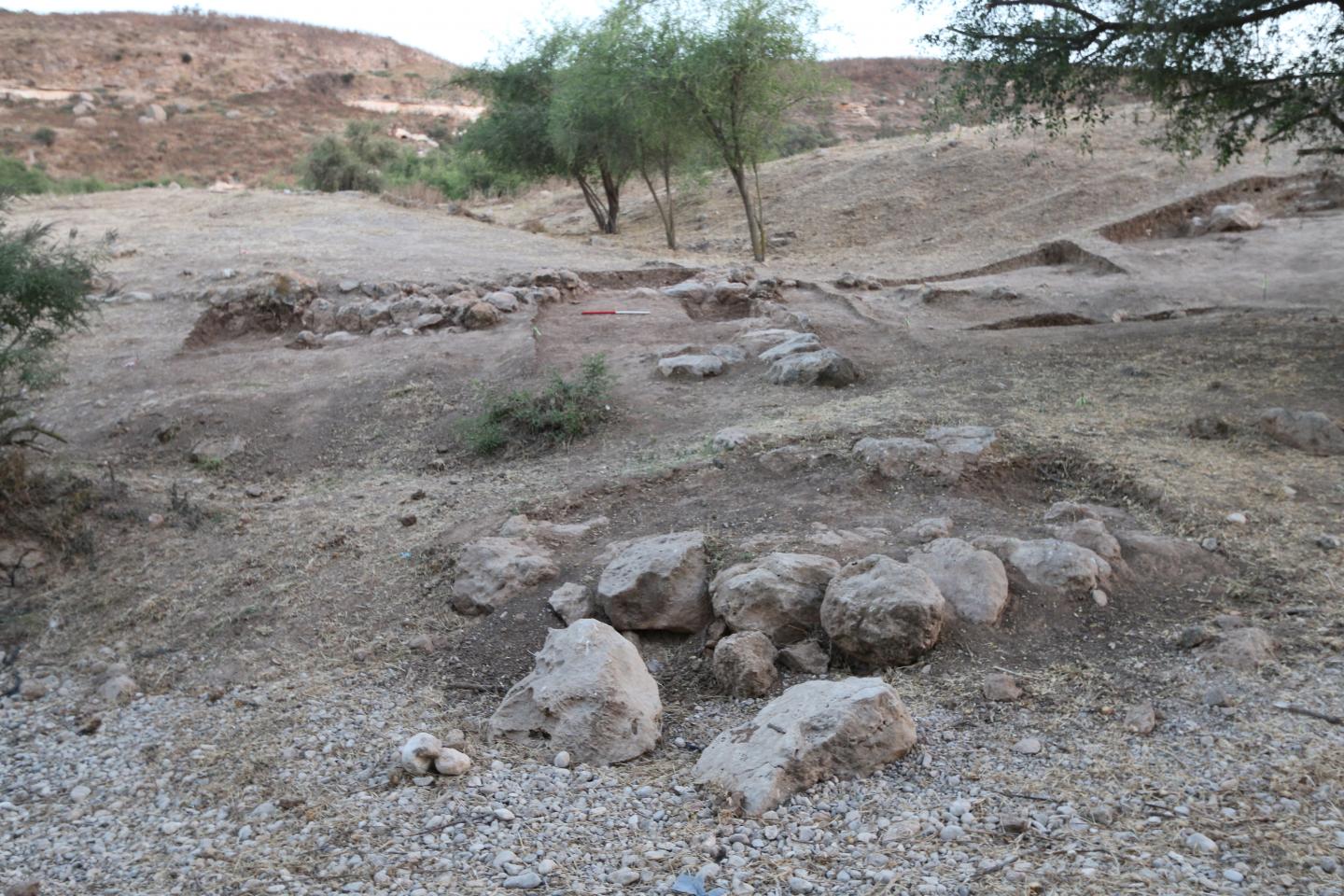 Iron Age Fortifications