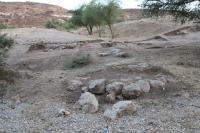 Iron Age Fortifications