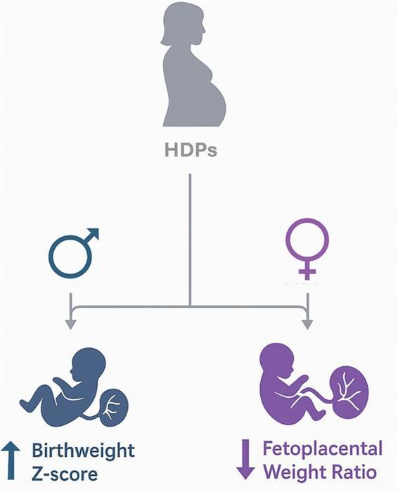 Sex Differences in Fetal Response to Hypertensive Disorders in Pregnancy