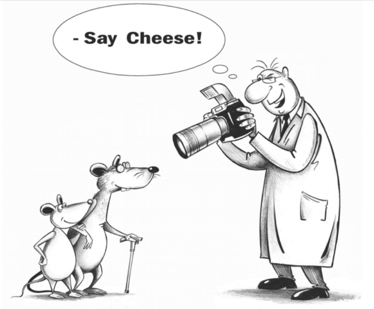 MouseAge.Org: Artificial Intelligence for Photographic Biomarkers in Mice