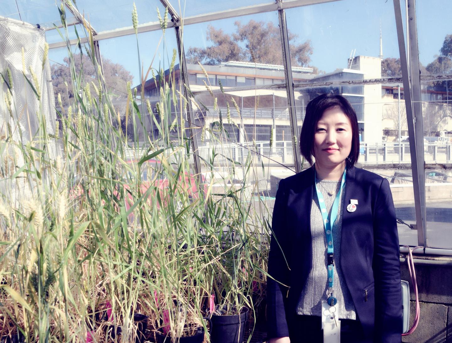 Researcher Next to Glasshouse