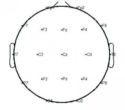 Electroencephalogram Signals