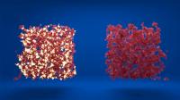 Schematic visualisation of protein networks