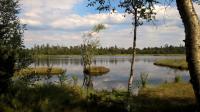 Wildseemoor