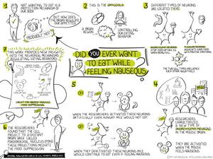 Sketchnote for neurons spoil your appetite