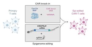 Engineering therapeutic T cells with CRISPRoff