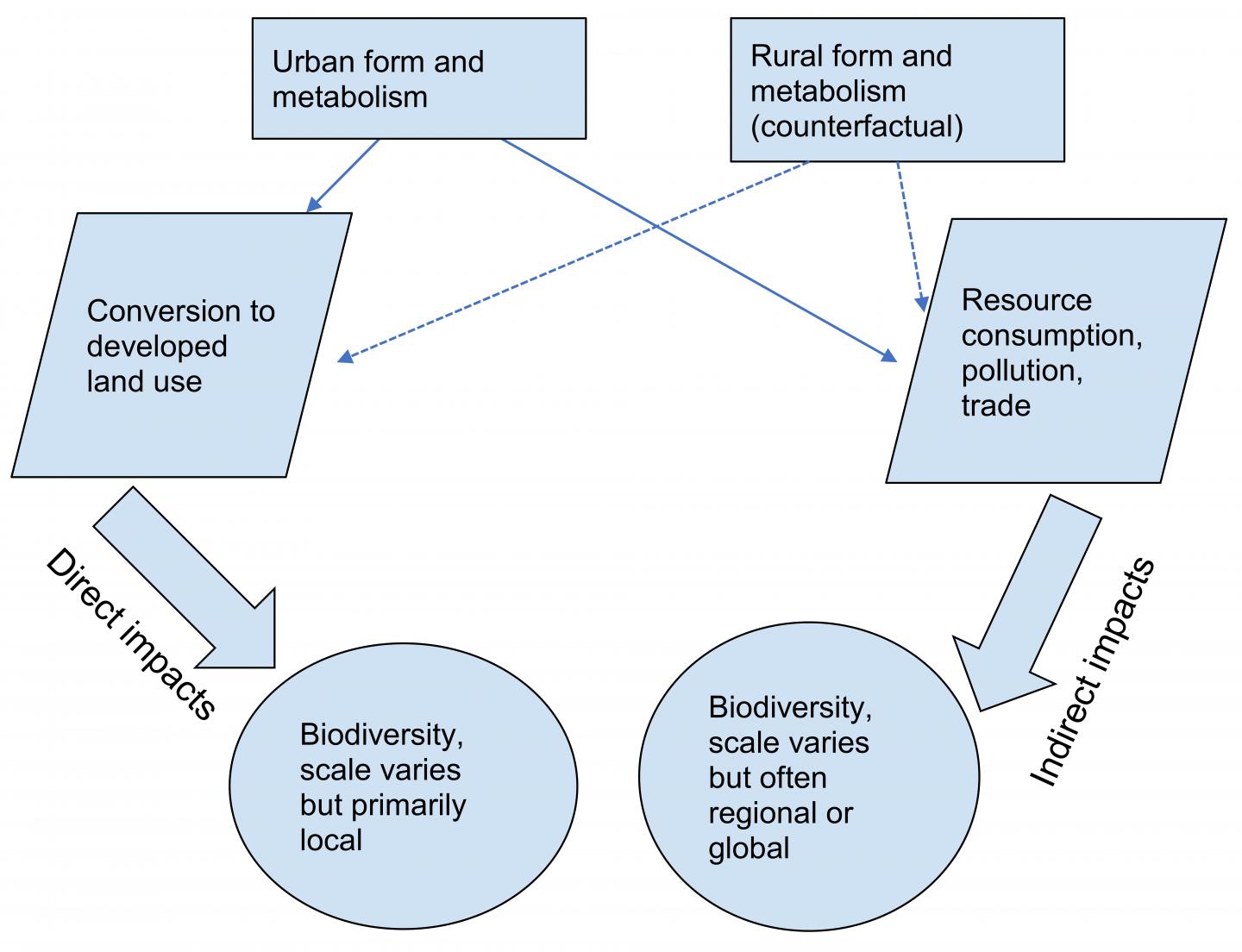 Direct and Indirect Impacts