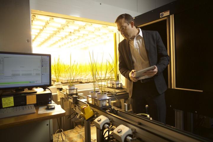 Thomas Brutnell, Donald Danforth Plant Science Center