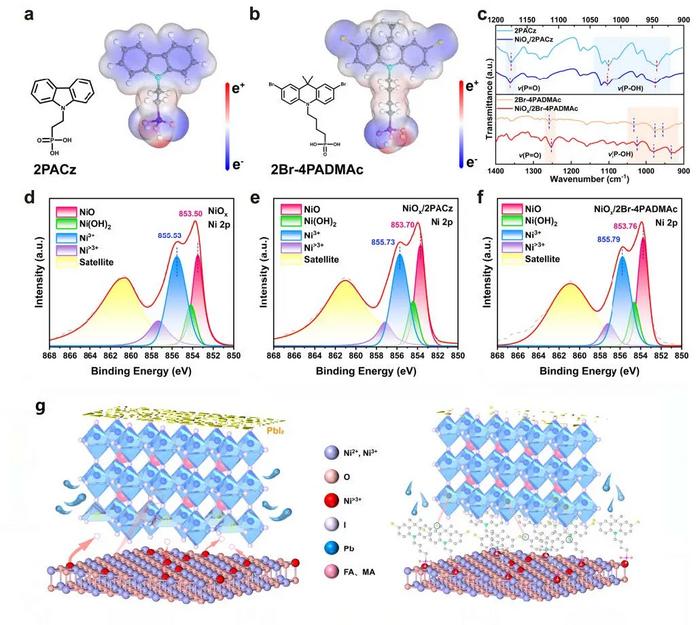 Suppressing redox reactions at the nickel oxide interface to improve the efficiency and stability of perovskite solar cells